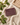 Savon de Marseille patchouli sur un lin crème froissé, avec des feuilles de patchouli vertes et un porte-savon en bois